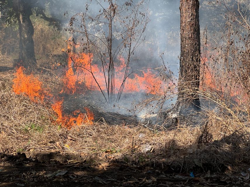Más de 150 unidades realizan simulacro interinstitucional contra incendios de masa vegetal