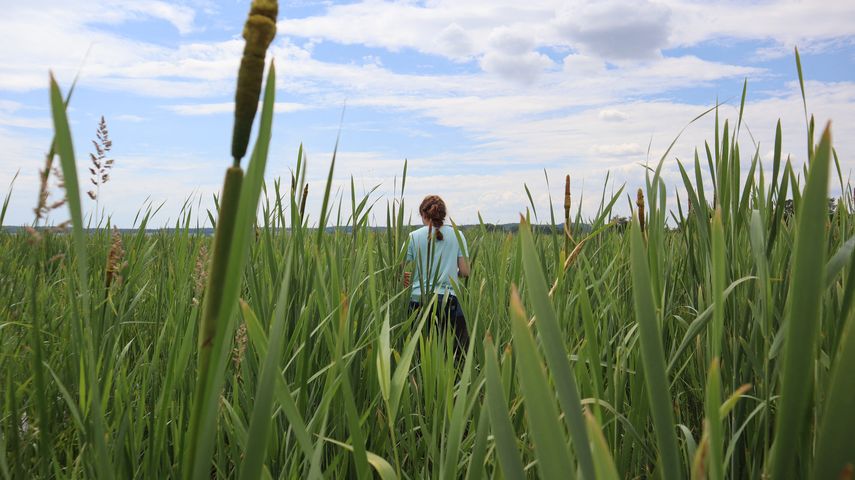 Alemania revive pantanos para atacar el calentamiento global