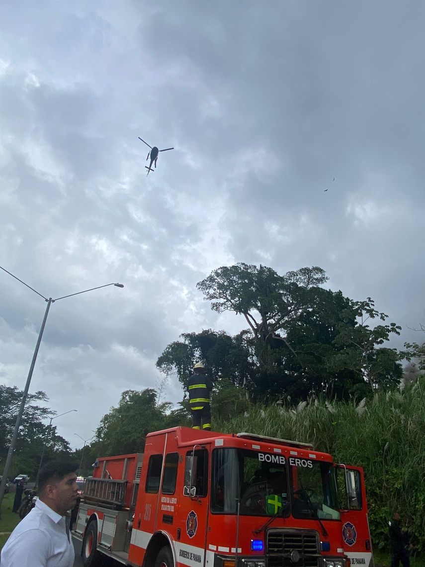 Aeronave se precipitó en el área boscosa de Clayton