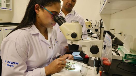 Canal de Panamá inaugura un laboratorio de calidad del agua en medio de crisis hídrica
