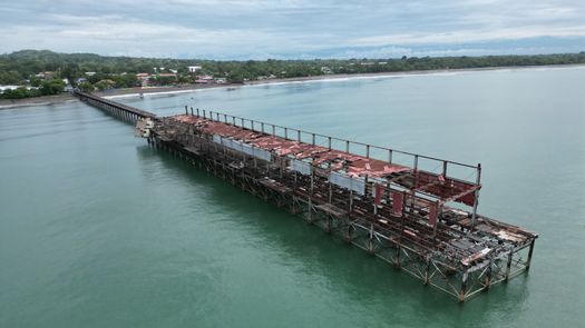 Muelle fiscal en Puerto Armuelles tendría un costo de 20 millones de dólares