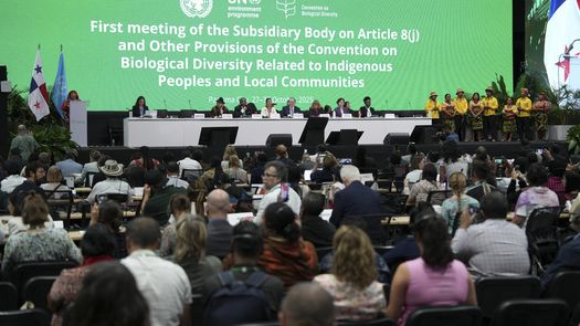 Acuerdan dar voz a indígenas para enfrentar crisis climática tras reunión de ONU en Panamá Acuerdan dar voz a indígenas para enfrentar crisis climática tras reunión de ONU en Panamá