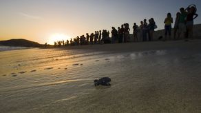 National Geographic reconoce a Tonosí como destino clave de aventuras nocturnas