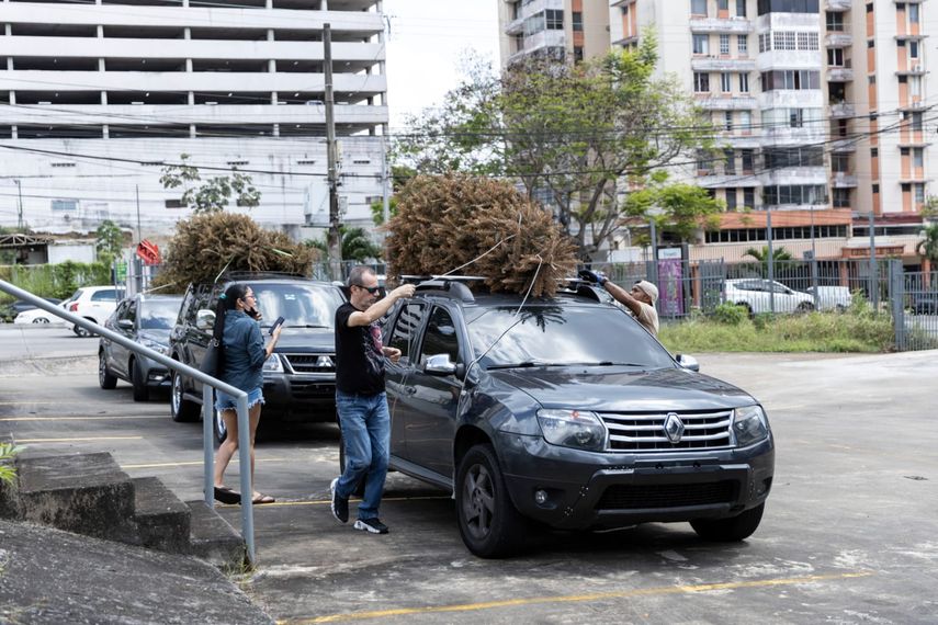 El material sacado del descarte de los arbolitos se utiliza con fines ambientales.