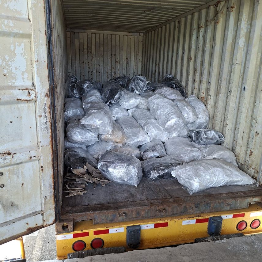Retienen en Puerto de Manzanillo contenedor con 109 sacos de aletas de tiburón con destino a Malasia