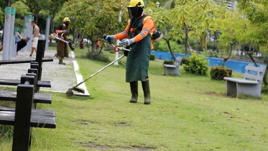 Uno de los espacios públicos más concurridos de la capital panameña recibió este martes una jornada de mantenimiento por parte del Ministerio de Obras Públicas (MOP), con labores de limpieza de áreas verdes, remoción de escombros y recuperación de estructuras en la Cinta Costera. Uno de los espacios públicos más concurridos de la capital panameña recibió este martes una jornada de mantenimiento por parte del Ministerio de Obras Públicas (MOP), con labores de limpieza de áreas verdes, remoción de escombros y recuperación de estructuras en la Cinta Costera.