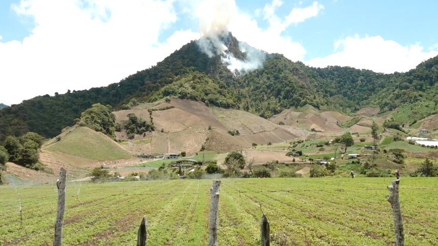 MiAmbiente dio a conocer que se hizo un levantamiento para registrar las especies que murieron producto del fuego en Cerro Punta.