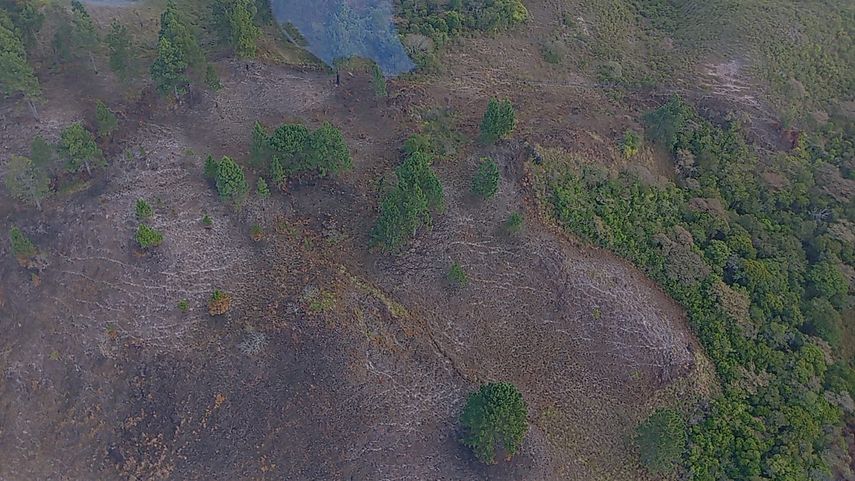 Incendio de masa vegetal en La Yeguada fue extinguido en su totalidad