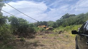 Humedales de San Carlos en peligro
