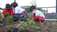 Estudiantes de diversos grados en centros educativos de Tierras Altas se dispusieron a arreglar sus áreas verdes para crear jardines.