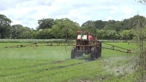 Productores agropecuarios y pesqueros preocupados por alza de insumos
