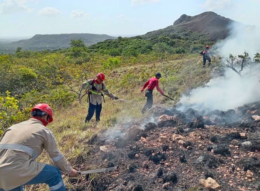 Autoridades extinguen incendio en Cerro Guacamaya en Penonomé