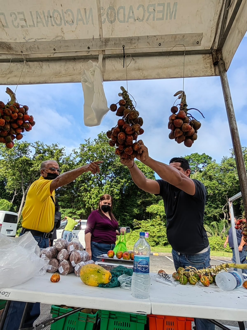 Con rotundo éxito culminó la Feria del Productor en tu Comunidad que realizó Merca Panamá en las instalaciones de la Universidad Tecnológica de Panamá