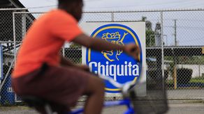 Chiquita reporta reactivación de 2 mil empleos para limpieza en fincas