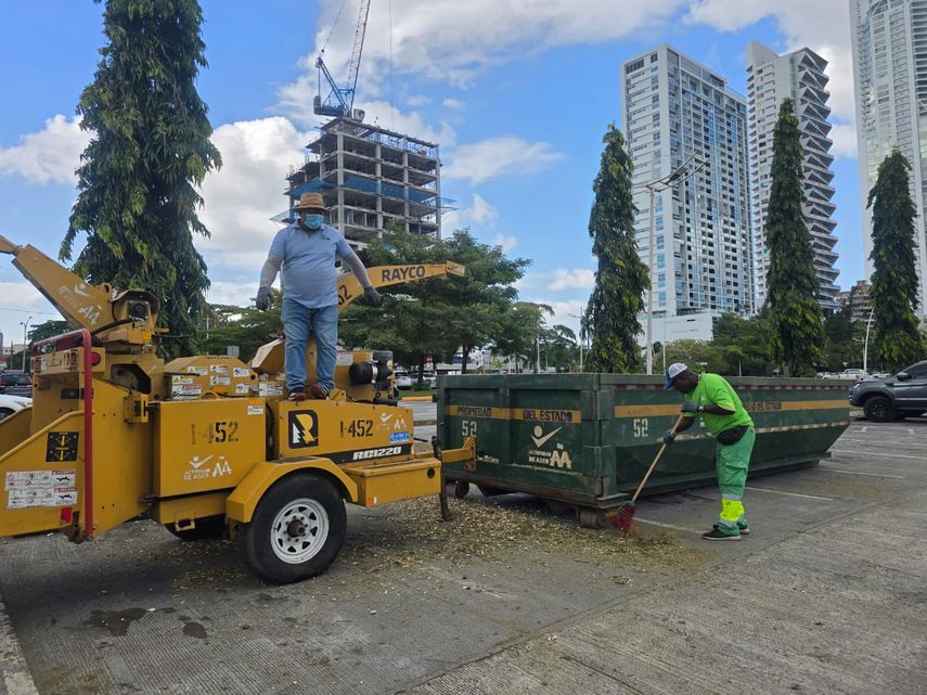 En una iniciativa conjunta entre el Ministerio de Ambiente