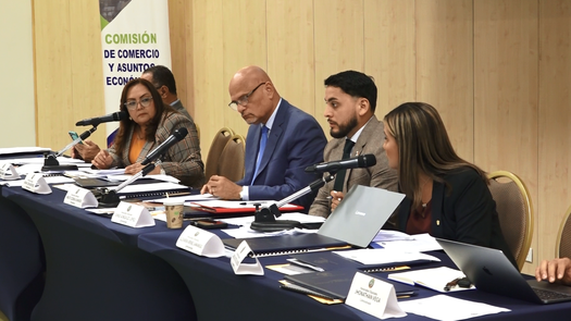 Diputados abrieron el espacio para el debate en la Comisión de Comercio.