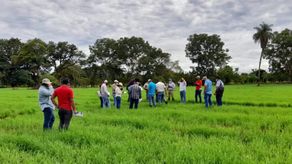 Gobierno ofrece soluciones financiera a productores afectados en cierres de calles