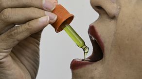 Los emprendedores de cannabis medicinal ven en Panamá un punto estratégico