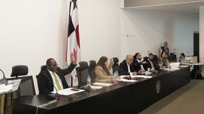 Aprueban en primer debate proyecto que establece lista pública de agresores sexuales