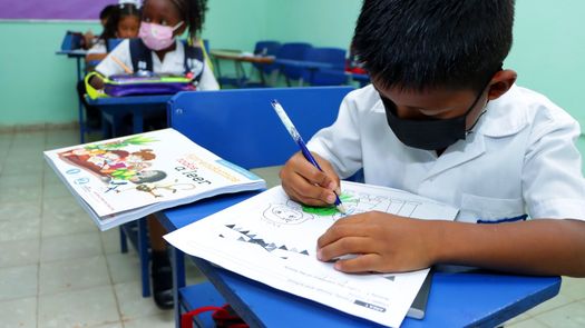 Meduca ofrece acceso gratuito a más de cinco millones de textos escolares