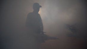 OMS pide a Europa que coordine su acción contra mosquito transmisor del Zika