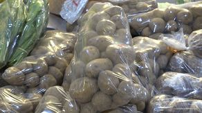 Precio de la papa ha bajado en campo