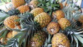 Panamá realiza primera exportación aérea de piña hacia China