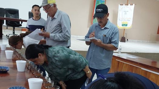 La actividad busca mejorar la caficultura de Renacimiento no solo en cantidad sino en calidad. &nbsp;