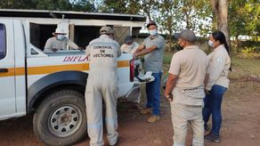 Se registran 6 casos por hantavirus y 1 defunción en lo que va del 2022