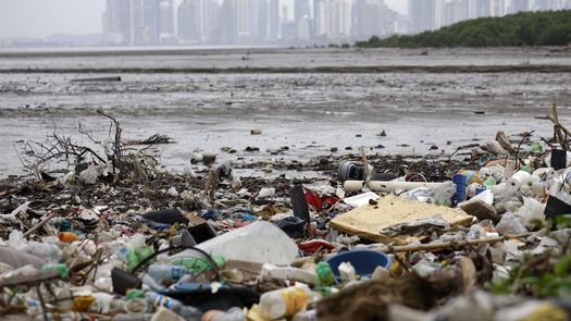 La prohibición de la utilización de plásticos de un solo uso en las áreas protegidas de Panamá entra en vigor este 1 de enero, de acuerdo a lo dispuesto por una resolución del Ministerio de Ambiente aprobada en octubre pasado. La prohibición de la utilización de plásticos de un solo uso en las áreas protegidas de Panamá entra en vigor este 1 de enero, de acuerdo a lo dispuesto por una resolución del Ministerio de Ambiente aprobada en octubre pasado.