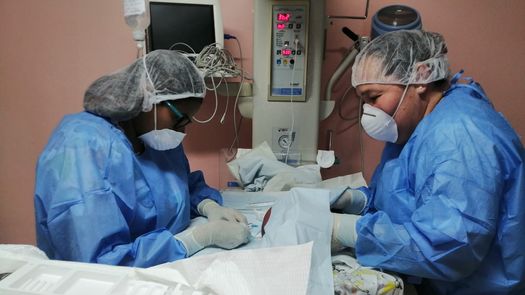 Gremios de salud anuncian paro de 72 horas en rechazo al contrato minero