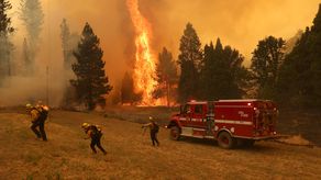Incendio forestal arrasa en California tras ola de calor