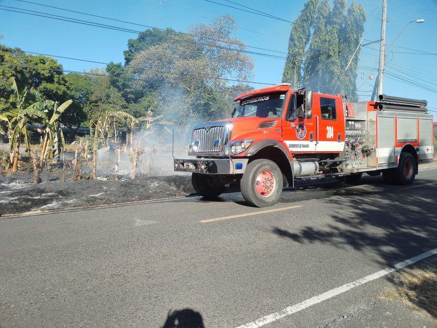 El Benemérito Cuerpo de Bomberos de la República de Panamá (BCBRP) informó que durante el mes de enero se registraron 290 incendios de masa vegetal (IMAVE) a nivel nacional.