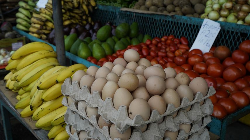La Acodeco publicó los resultados de su más reciente estudio sobre los precios de la Canasta Básica, según al sector en que se encuentra el supermercado. La Acodeco publicó los resultados de su más reciente estudio sobre los precios de la Canasta Básica, según al sector en que se encuentra el supermercado.