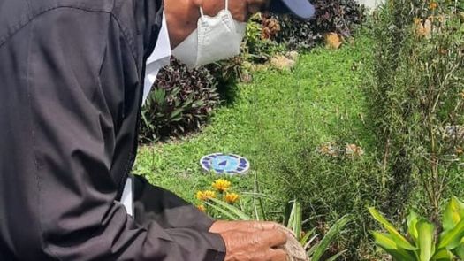 El jefedel Departamento de Control de Vectores del Minsa de Chiriquí reiteró su llamado a la ciudadanía a eliminar cualquier reservorio de agua bajo sombra.