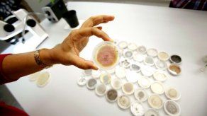 Científicos recrean la vida en domos para estudiar cambio climático en Panamá