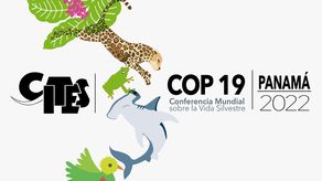 Panamá presenta oficialmente logo de la 19vaCoP CITES como país anfitrión
