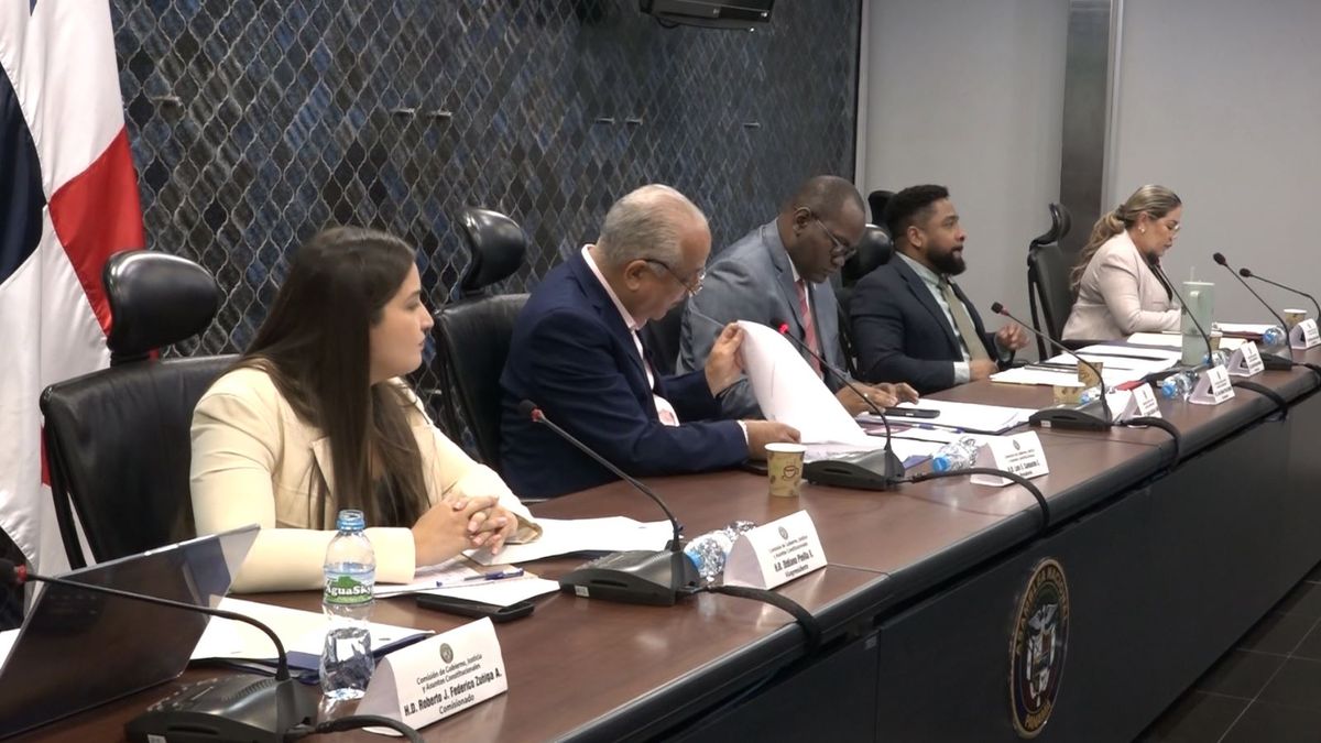 En la Comisión de Gobierno se habló de la seguridad que deben tener los altos funcionarios del Estado.