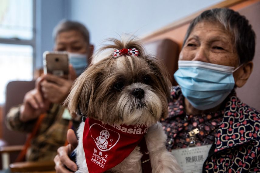 El norte de China ha detectado un incremento de "las enfermedades de tipo influenza" desde mediados de octubre en comparación con los datos de los tres años anteriores, dijo la OMS el miércoles. El norte de China ha detectado un incremento de "las enfermedades de tipo influenza" desde mediados de octubre en comparación con los datos de los tres años anteriores, dijo la OMS el miércoles.