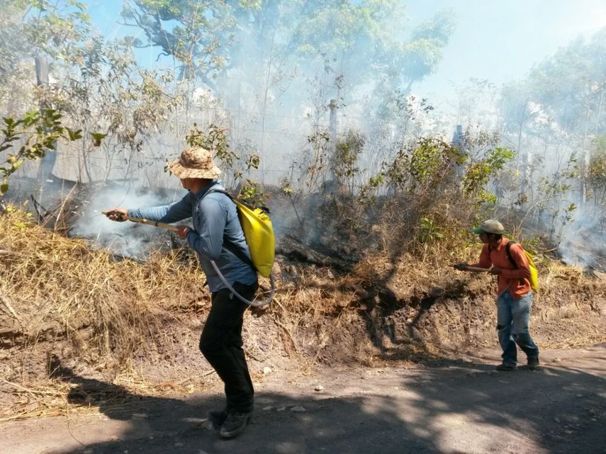 Promueven campaña de prevención de incendios forestales