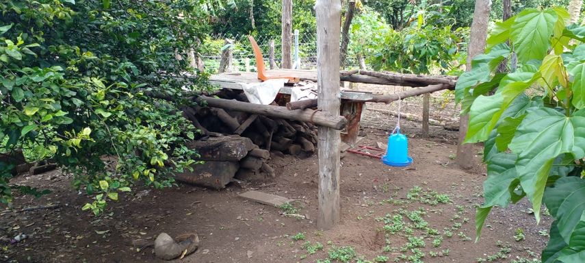 El doctor Ayvar Hernández, director de la Región de Salud (Minsa) de Los Santos dio a conocer que según el último informe del Departamento de Control de Vectores de la regional de Los Santos se registró la primera defunción en 2023 por hantavirus. El doctor Ayvar Hernández, director de la Región de Salud (Minsa) de Los Santos dio a conocer que según el último informe del Departamento de Control de Vectores de la regional de Los Santos se registró la primera defunción en 2023 por hantavirus.