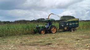 Ministerio de Desarrollo Agropecuario avanza con el inicio de fase de siembra de Plan Sequía