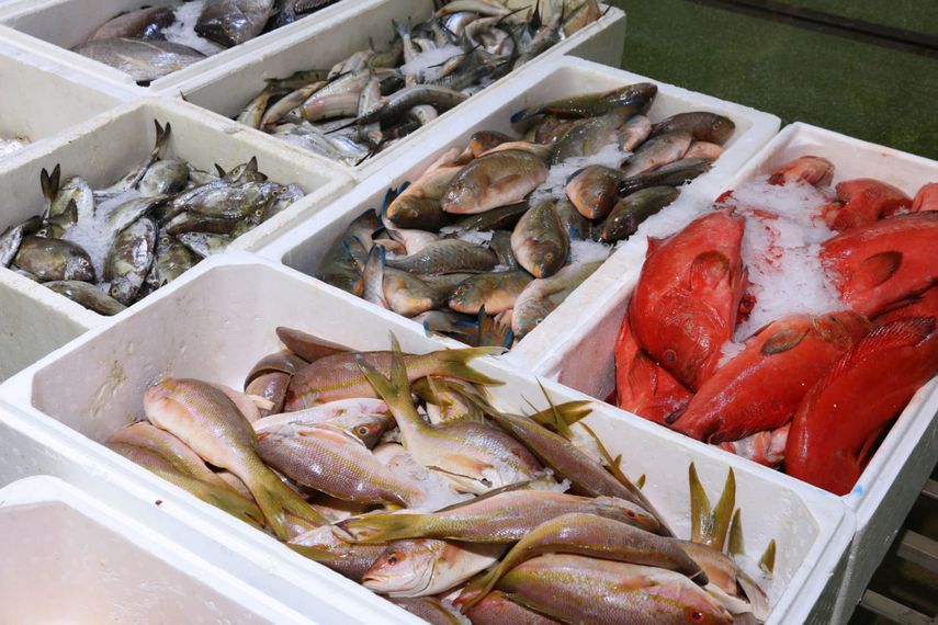 Banano lidera exportaciones de Panamá; crecen ventas de ron y harina de pescado. Banano lidera exportaciones de Panamá; crecen ventas de ron y harina de pescado.