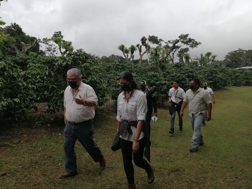 Unos 72 integrantes del Circuito del Caf&eacute; participaron de una serie de talleres realizados por ATP) y CECOMRO en v&iacute;speras del lanzamiento 2021 en Chiriqu&iacute;.