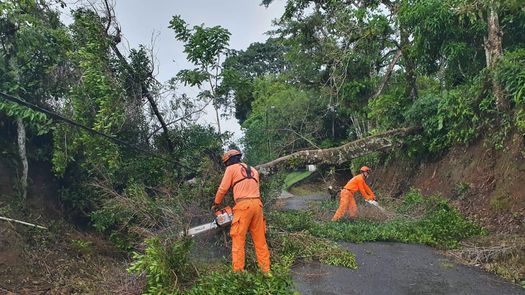 Emiten aviso de prevención por intensificación de los vientos hasta el 19 de enero