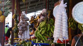 Acodeco reporta cambios en los precios de varios productos alimenticios