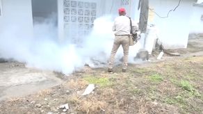 En Chiriquí la cantidad de casos también ha influido por la migración de personas que vienen desde otros países.