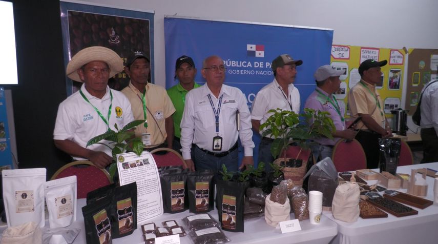 Expo Café Mipyme promueve intercambio entre productores