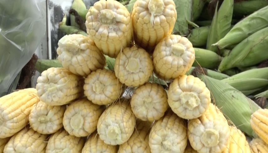 Gabinete aprobó modificación arancelaria para proteger maíz.