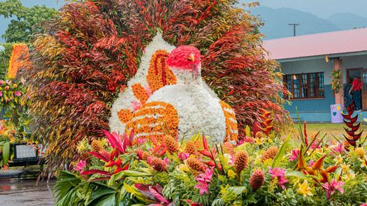 Parada de las Flores y el Café se realizará del 12 al 16 de septiembre en Tierras Altas